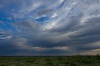A Storm in the Distance