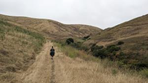 Coppertone on the trail