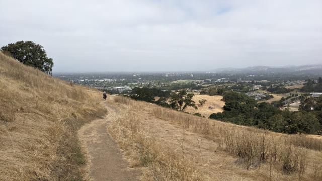 Trail View
