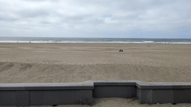 The Pacific