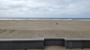 The Pacific