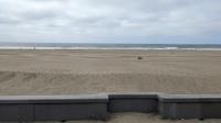 The Pacific