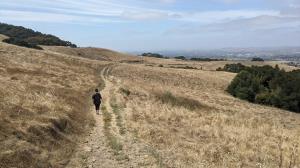 Penny leads the way