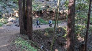 Trail View