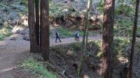 Trail View