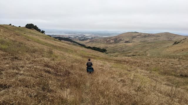 Trail?  What Trail?