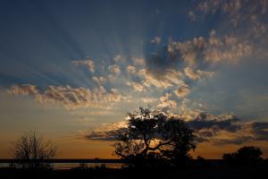 Park Sunrise