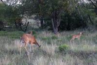 Mom and kids