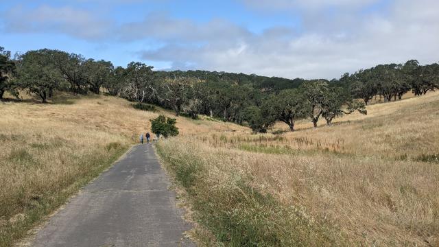 Valley of the Moon Trail