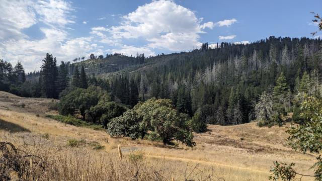 Surprise Valley