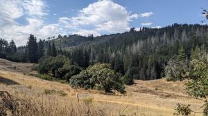 Surprise Valley