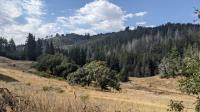 Surprise Valley