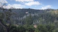 View on Hidden Meadow Trail