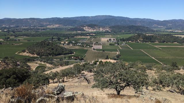 "Islands" in the valley