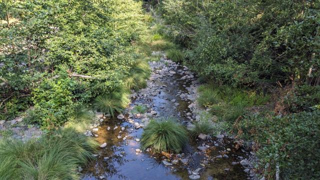 Mark West Creek