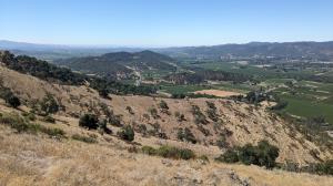 Looking south