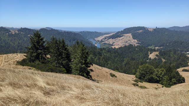 West Pole View