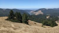 West Pole View