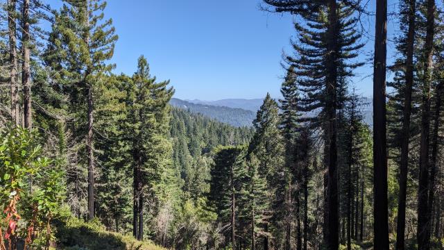 Vista peeks