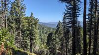 Vista peeks