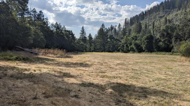 Cresta Meadow