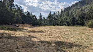 Cresta Meadow