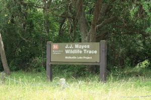 Entrance Sign