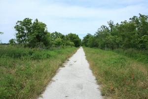 Pathway