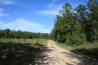 Another View Of The Trail