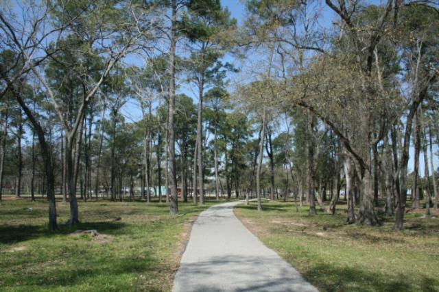 Another View Of The Trail