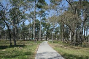 Another View Of The Trail