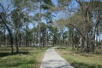 Another View Of The Trail