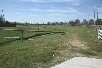 Beyond The Bridge To Wedgewood Village Park