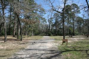 The Other Trailhead