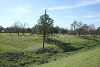 Wedgewood Village Park