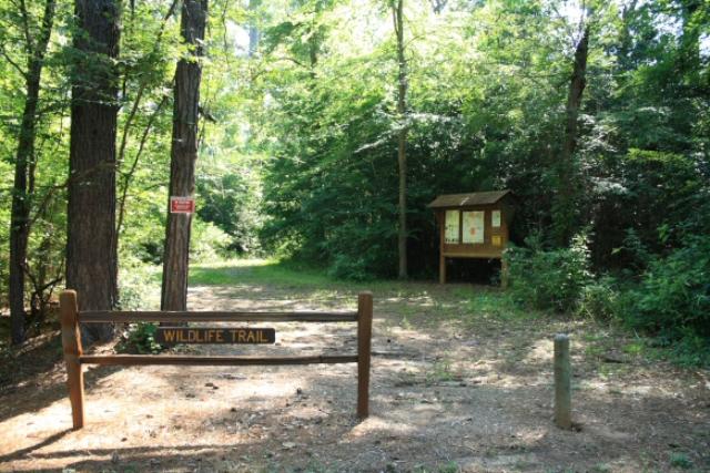 Wildlife Trailhead