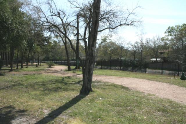 Another View Of The Trail