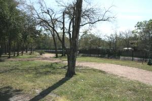 Another View Of The Trail