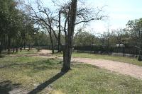 Another View Of The Trail