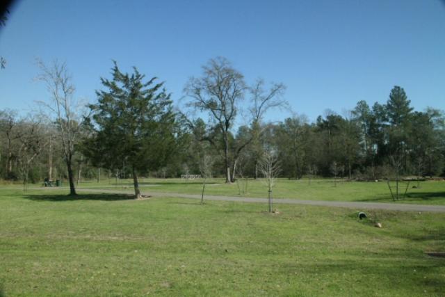 Short Trail
