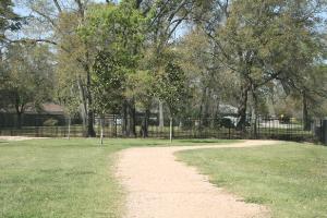 Another View Of The Trail