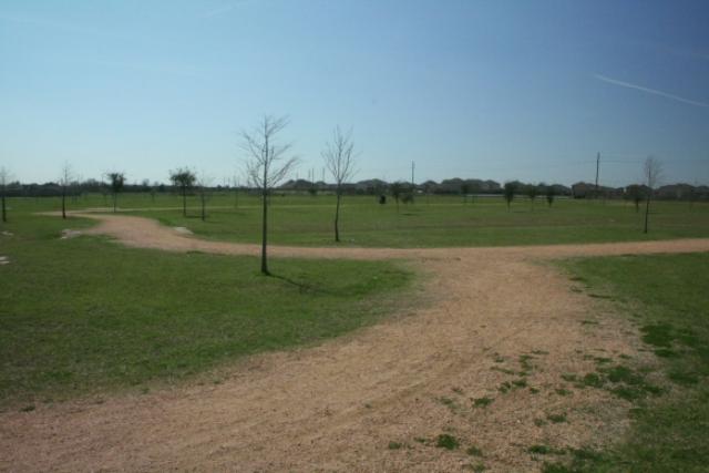 Another View Of The Trail