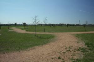 Another View Of The Trail