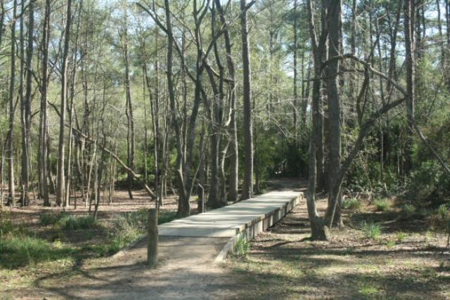 Wood Bridge