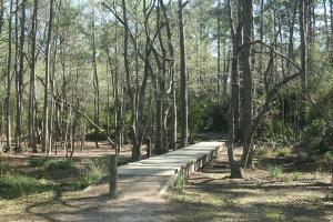 Wood Bridge