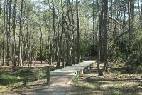 Wood Bridge