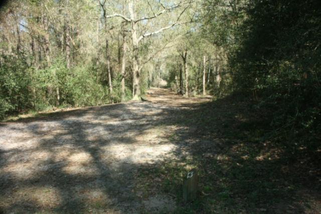 Nature Trail