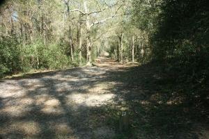 Nature Trail