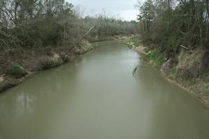 Spring Creek
