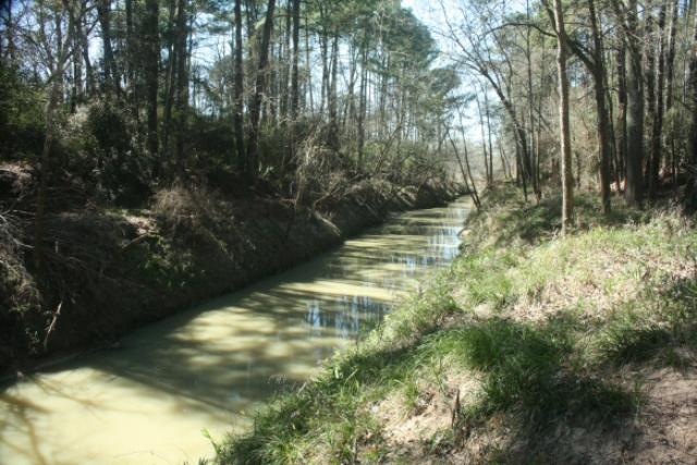 Cypress Creek